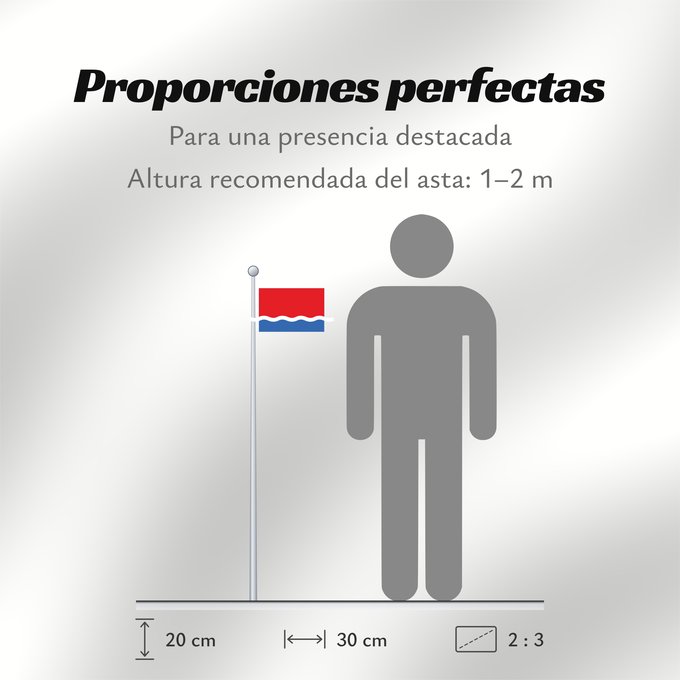 Proporciones de la bandera: Amur Oblast Oblast d'Amour Óblast de Amur Oblast Amur Флаг Амурской области