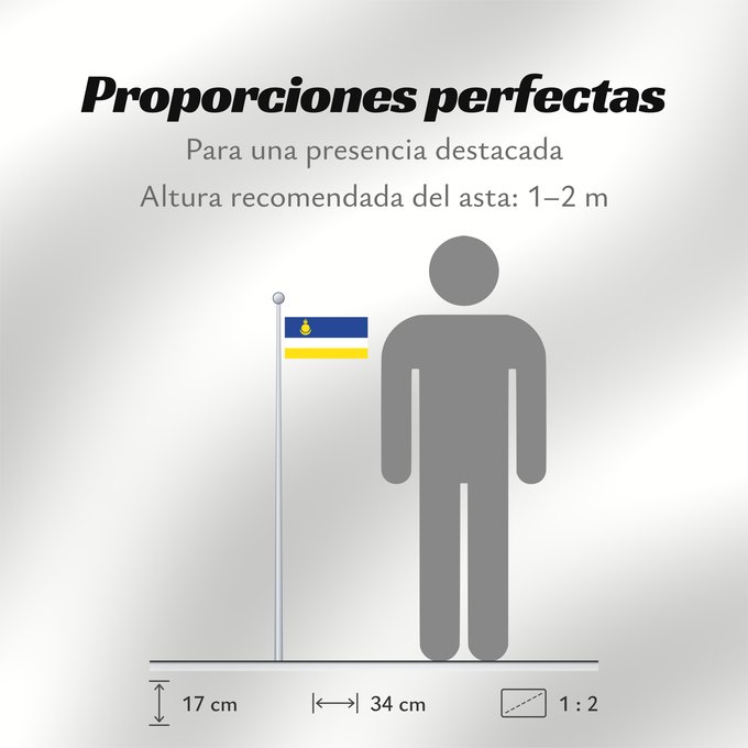 Proporciones de la bandera: Buryatia	Republic of Buryatia	 Buratti	República de Buriatia	Repubblica di Buriazia	Буряад Республикын гyрэнэй һүлдэ	Флаг Бурятии	Парчами Бурятия