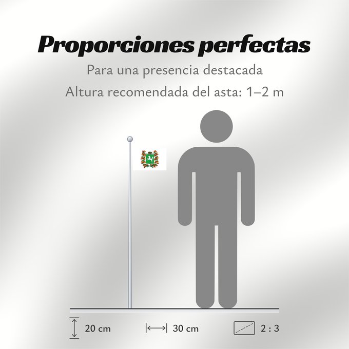 Proporciones de la bandera: Tomskaya oblast'