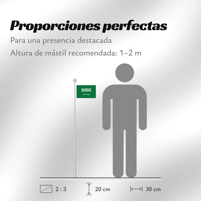 Proporciones de la bandera: Civil Ensign of Saudi Arabia obverse Saudi Arabia Arabie saoudite Arabia Saudita Saudi-Arabien