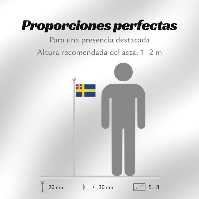 Proporciones de la bandera: Swedish norwegian union