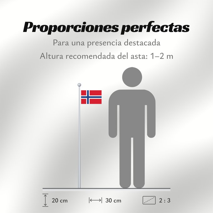 Proporciones de la bandera: Svalbard and Jan Mayen