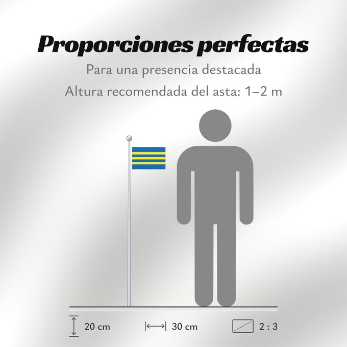 Proporciones de la bandera: Trnavsky vlajka	Trnava Region	Région de Trnava	Región de Trnava	Trnava	Trnava Regione