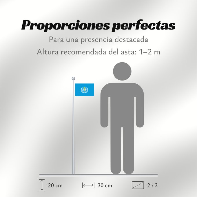 Proporciones de la bandera: WHO World Health Organization L Organisation mondiale de la santé 世界衛生組織的旗幟。