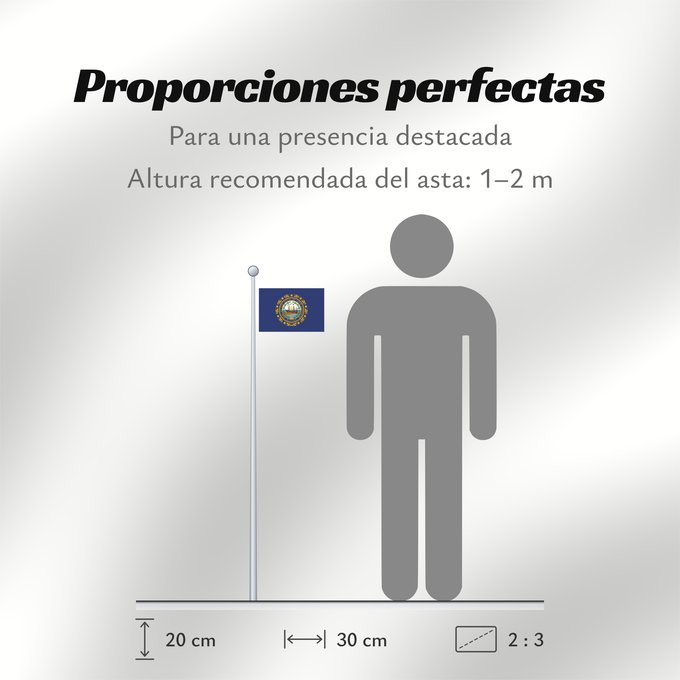 Proporciones de la bandera: New Hampshire	 New Hampshire	Nuevo Hampshire	ᎠᏤ ᎭᎻᏒ ᎦᏓᏘ	Ka hae Nū Hamekia	Novae Hantoniae	Niihémpshoo Hahoodzo bidah naatʼaʼí	Флаг Нью-Гэмпшира	Američke savezne države New Hampshire