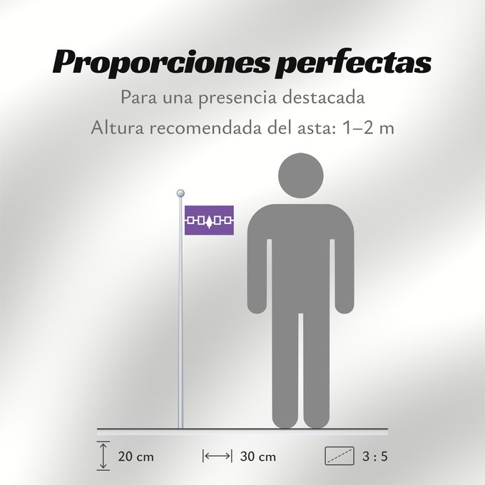 Proporciones de la bandera: Iroquois	Iroquois Confederacy, Hiawatha Belt	Confédération Iroquoise	Confederación Iroquesa (Cinturón de Hiawatha)	Irokesen-Konföderation (Hiawatha-Gürtel)	Confederazione Irochese (Cintura di Hiawatha)