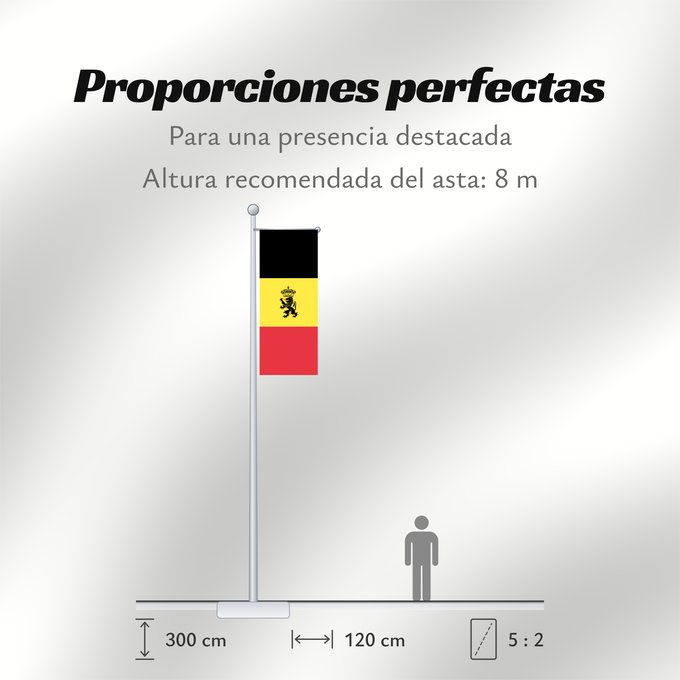 Proporciones de la bandera: Belgium civil Belgium Belgique Bélgica Belgien Belgio