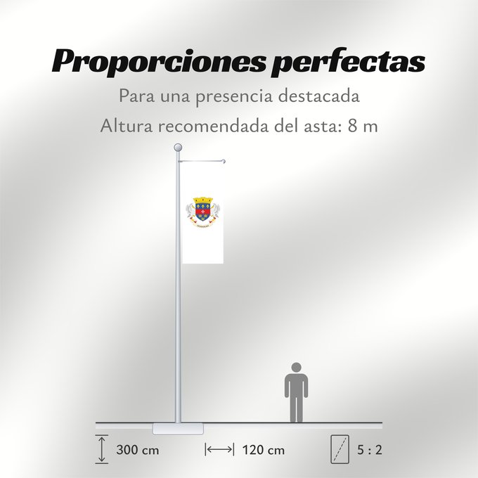 Proporciones de la bandera: Saint Barthélemy