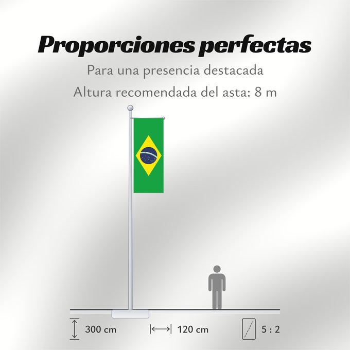 Proporciones de la bandera: Brazil	Brésil	Brasil	Brasilien	Brasile