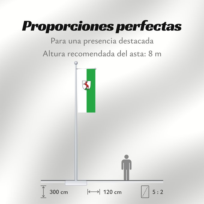 Proporciones de la bandera: Rechberghausen (Region Stuttgart)