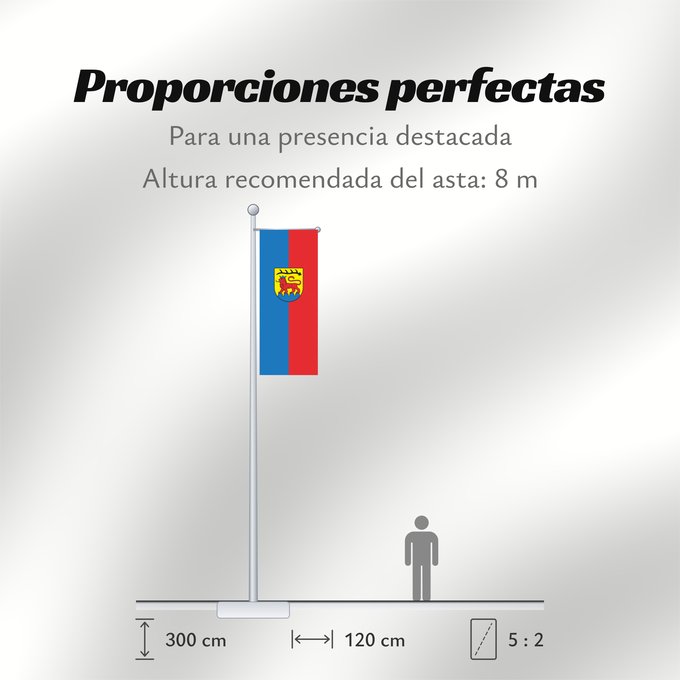 Proporciones de la bandera: Vaihingen an der Enz (Region Stuttgart)
