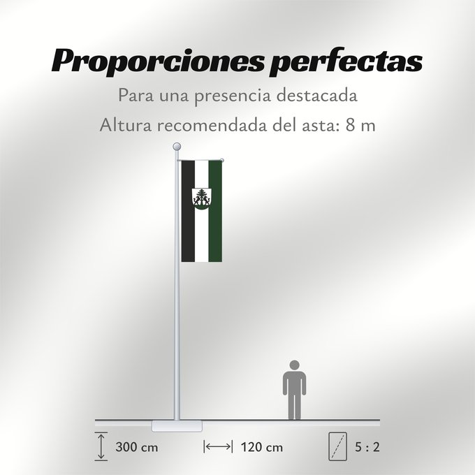 Proporciones de la bandera: Murrhardt (Region Stuttgart)