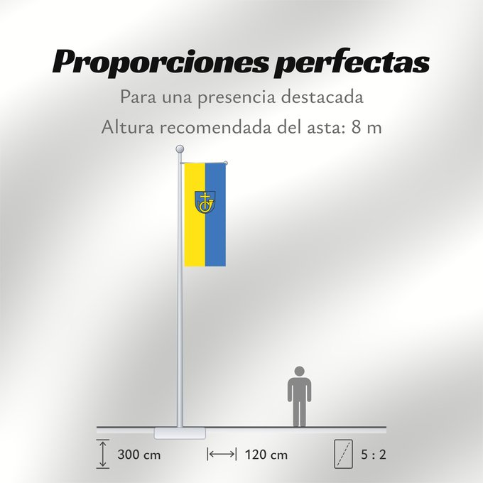 Proporciones de la bandera: Remshalden (Region Stuttgart)