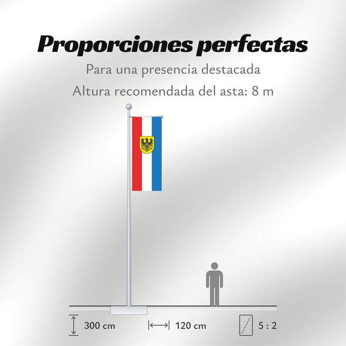 Proporciones de la bandera: Heilbronn (Nördliches Baden-Württemberg)