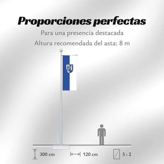Proporciones de la bandera: Bad Friedrichshall (Nördliches Baden-Württemberg)