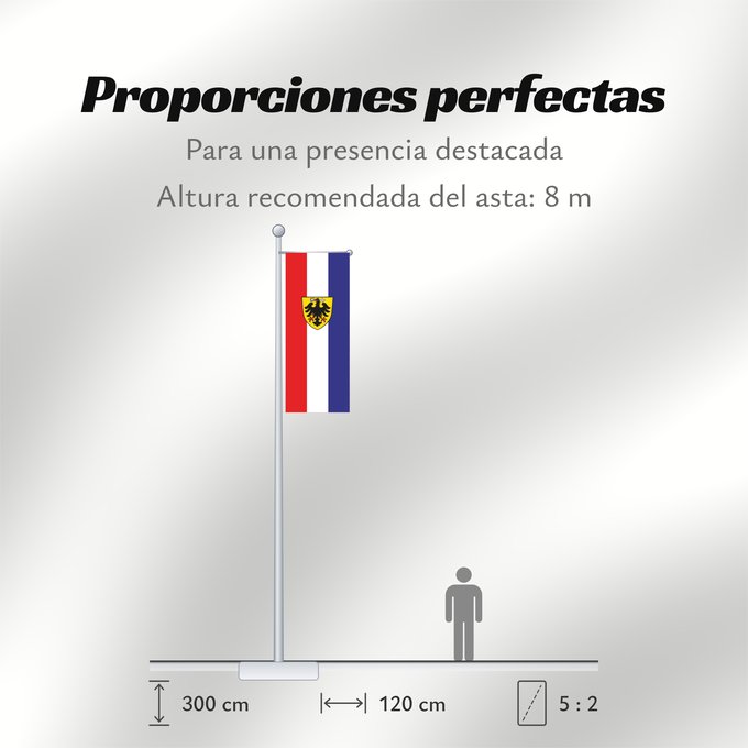 Proporciones de la bandera: Bad Wimpfen (Nördliches Baden-Württemberg)