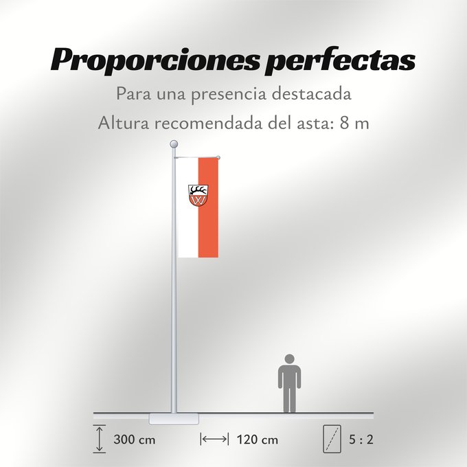 Proporciones de la bandera: Wildberg (Nördlicher Schwarzwald)