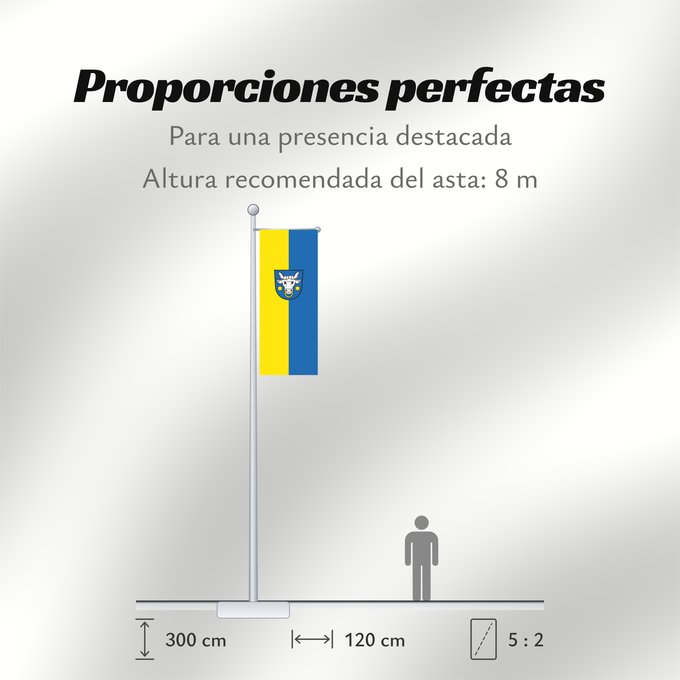 Proporciones de la bandera: Schenkenzell (Mittlerer Schwarzwald)