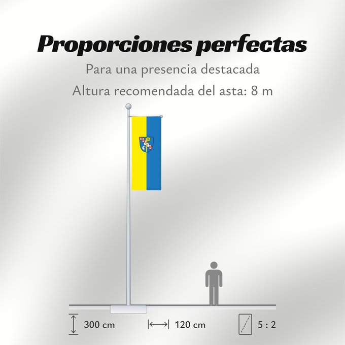 Proporciones de la bandera: Salem (Bodensee)