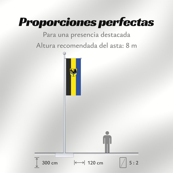 Proporciones de la bandera: Haiming (Inn-Salzach)