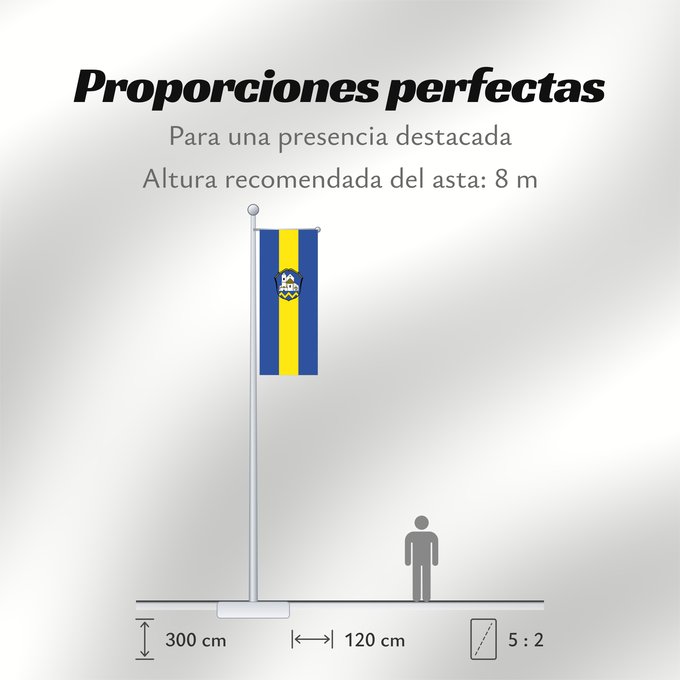 Proporciones de la bandera: Erdweg (Münchener Umland)