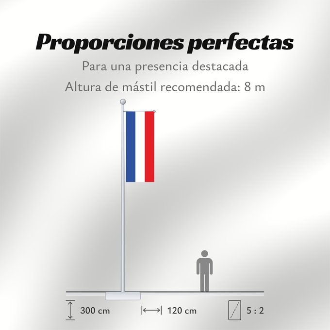 Proporciones de la bandera: Schleswig-Holstein