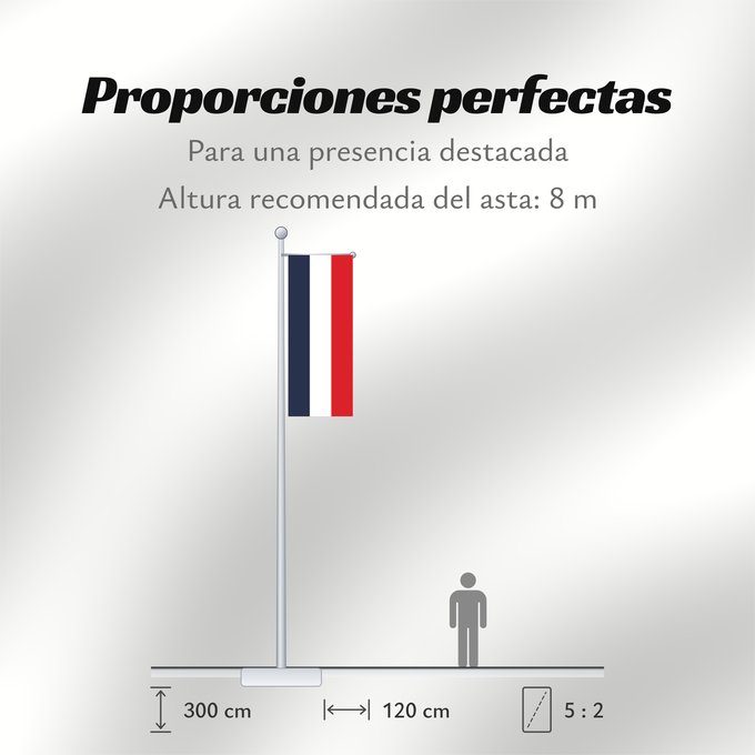 Proporciones de la bandera: France Francia Frankreich France in #002654, #FFFFFF, #CE1126