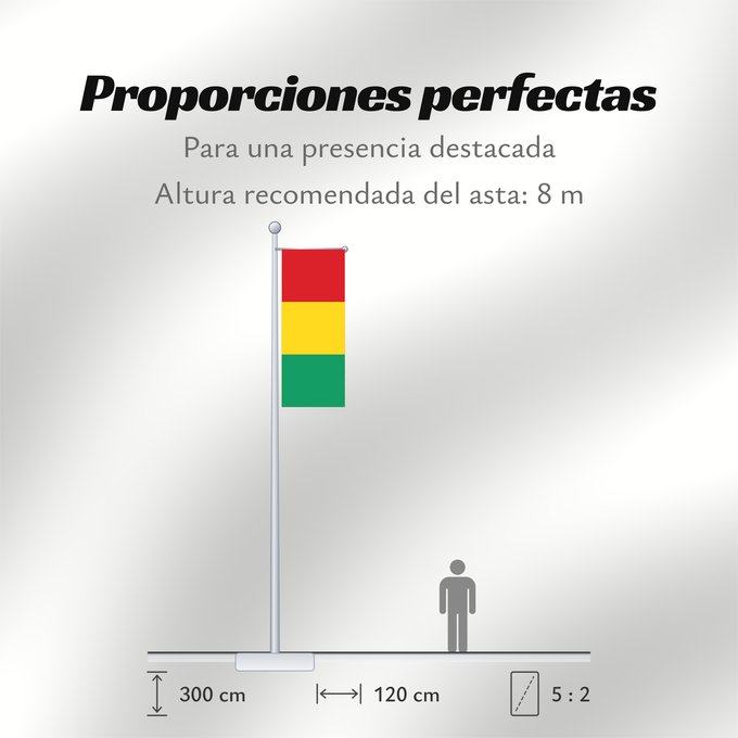 Proporciones de la bandera: Guinea	Guinée