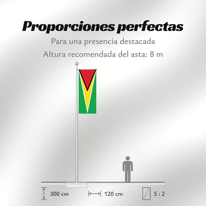 Proporciones de la bandera: Guyana Guiana Wayana wiphala Gujano Gwayana Wayana unancha Флаг Гайаны Guyanas Quốc kỳ Guyana