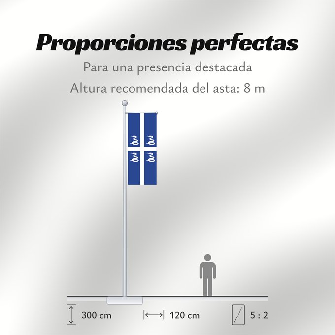 Proporciones de la bandera: Martinique	Martinica
