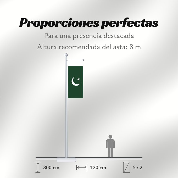 Proporciones de la bandera: Pakistan	 Pakistan	Pakistán	Paquistão	علم باكستان	পাকিস্তানের জাতীয় পতাকা	পাকিস্তানর ফিরালহান	Pakistano	पाकिस्तान का ध्वज	ପାକିସ୍ତାନୀ ଝଣ୍ଡା	ਪਾਕਿਸਤਾਨ ਦਾ ਕੌਮੀ ਝੰਡਾ	د پاکستان بيرغ	Флаг Пакистана	Pakistana	பாக்கித்தான் கொடி	Прапор Пакистану	پاکستان کا پرچم