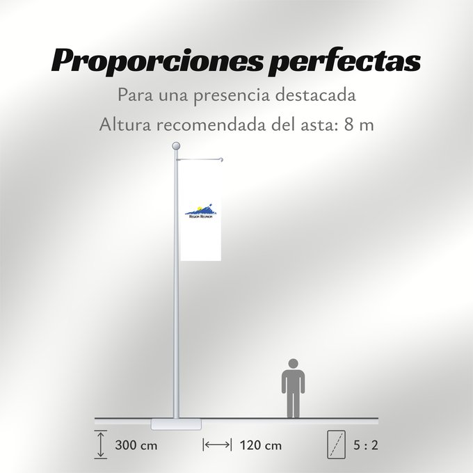 Proporciones de la bandera: Réunion