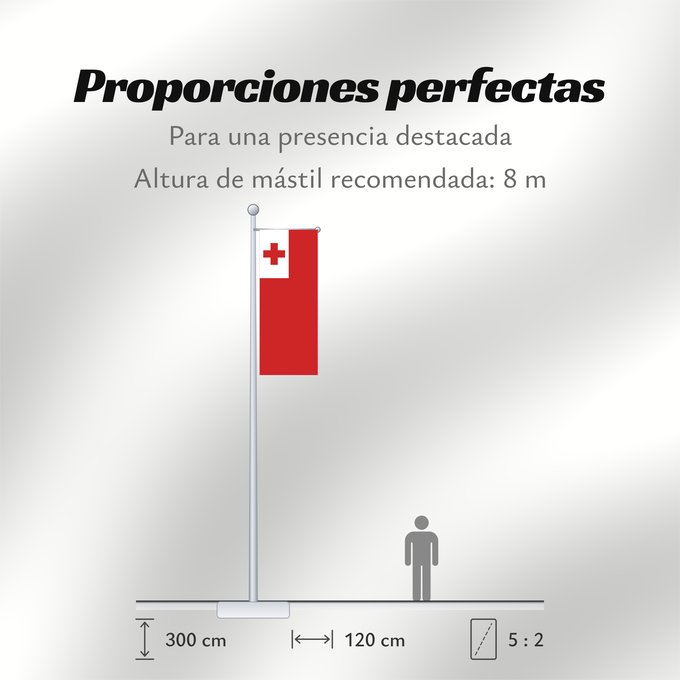 Proporciones de la bandera: Tonga	Thonga	Brattagh ny Tongey	Tonge	Fuka ʻo Tonga