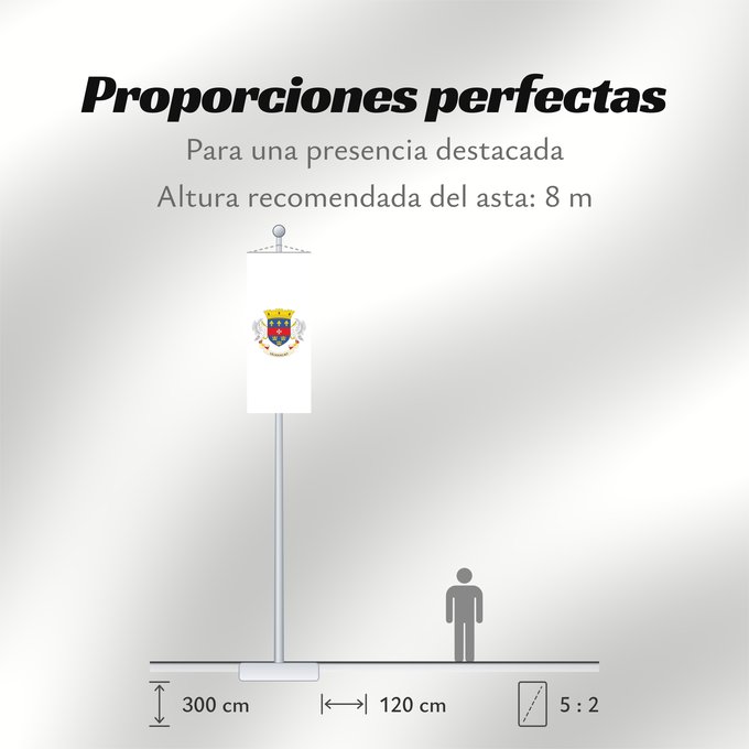 Proporciones de la bandera: Saint Barthélemy