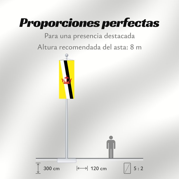 Proporciones de la bandera: Brunei Brunei Darussalam Brunéi علم بروناي Bruneis Brunein 브루나이의 국기 Bruney Brunei / بنديرا بروني ဘရူနိုင်းနိုင်ငံ၏ အလံတော် Флаг Брунея Bruneja புரூணை கொடி ธงชาติบรูไนดารุสซาลาม Watawat Brunay Cờ Brunei 文莱国旗