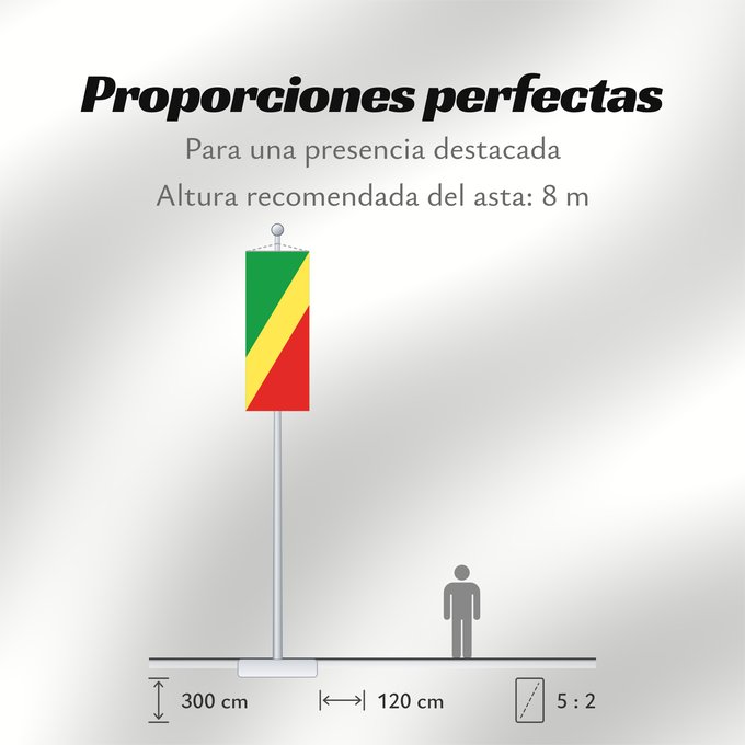 Proporciones de la bandera: Republic of the Congo	Congo	République du Congo	República del Congo	Republik Kongo	Repubblica del Congo	República do Congo	علم الكونغو	Banniel Republik Kongo	La Respubliko Kongo	Kongoar bandera	پرچم جمهوری کنگو	Dalapo ya Repubilika ya Kongo	Bɛndɛ́lɛ ya Re