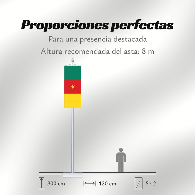 Proporciones de la bandera: Cameroon Cameroun Camerún Kamerun Camerun ক্যামেরুনের পতাকা। Kamerunu Kameruno پرچم کامرون Fändel vum Kamerun Знаме на Камерун Camerunului Kameruna Kameruns