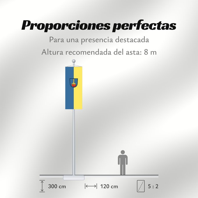 Proporciones de la bandera: Ehningen (Region Stuttgart)