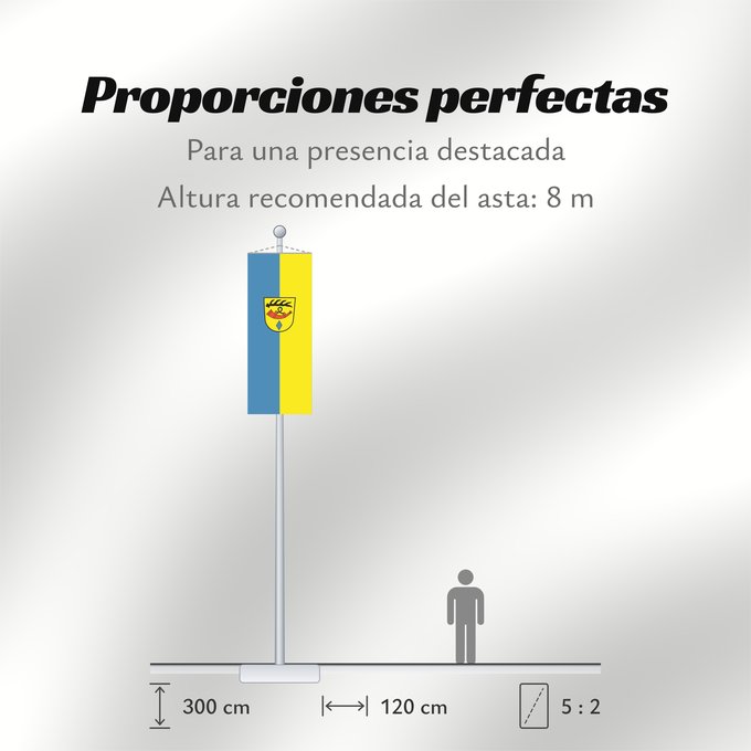 Proporciones de la bandera: Nürtingen (Region Stuttgart)