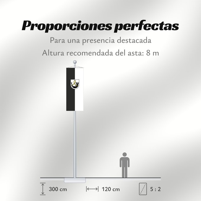 Proporciones de la bandera: Dürnau (Region Stuttgart)