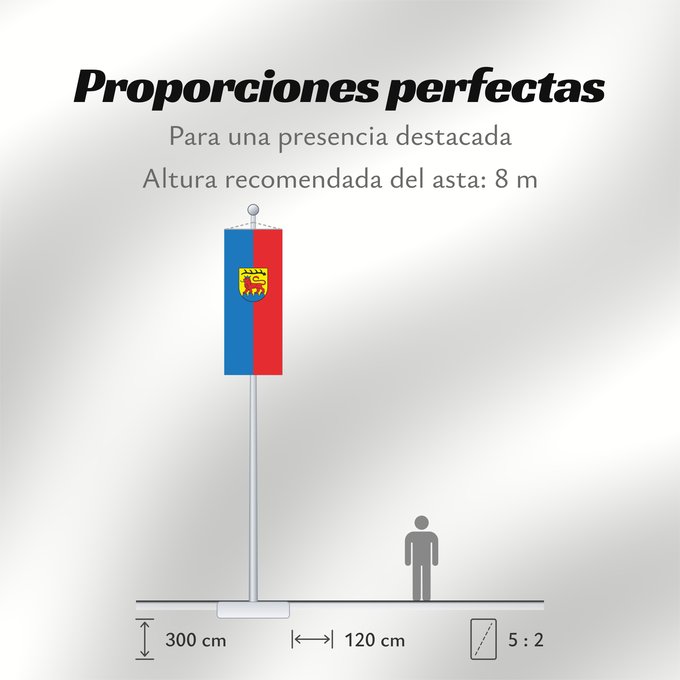 Proporciones de la bandera: Vaihingen an der Enz (Region Stuttgart)