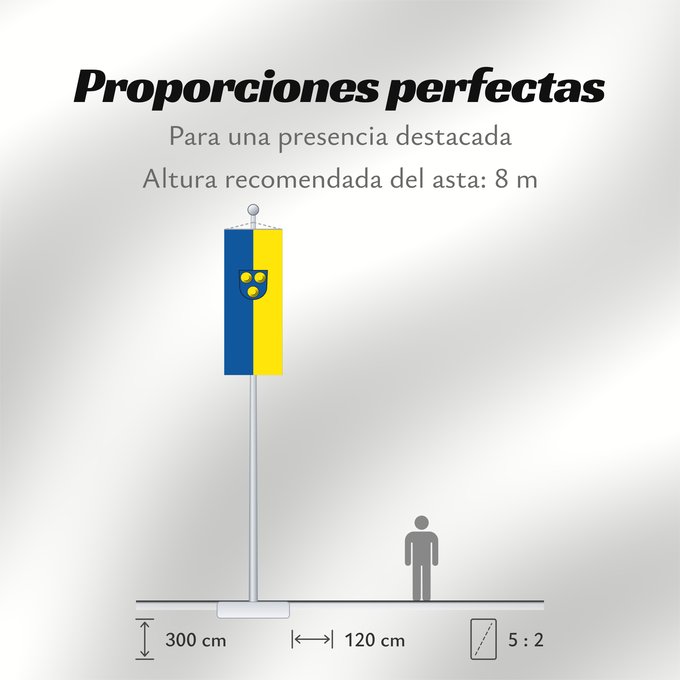 Proporciones de la bandera: Freiberg am Neckar (Region Stuttgart)