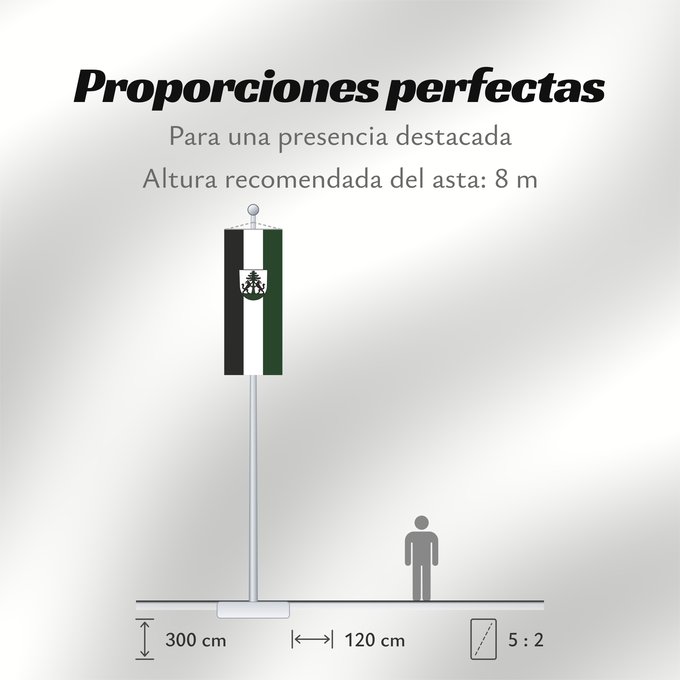 Proporciones de la bandera: Murrhardt (Region Stuttgart)