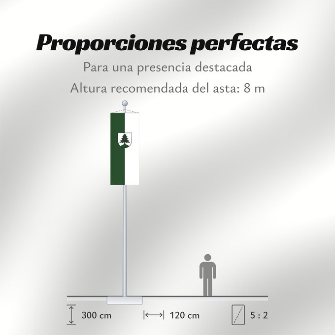Proporciones de la bandera: Welzheim (Region Stuttgart)