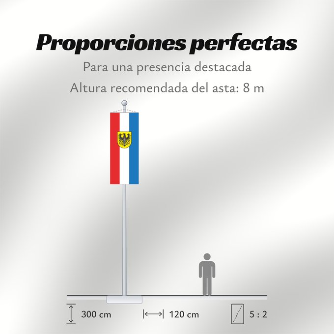 Proporciones de la bandera: Heilbronn (Nördliches Baden-Württemberg)