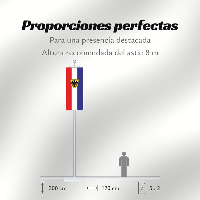 Proporciones de la bandera: Bad Wimpfen (Nördliches Baden-Württemberg)