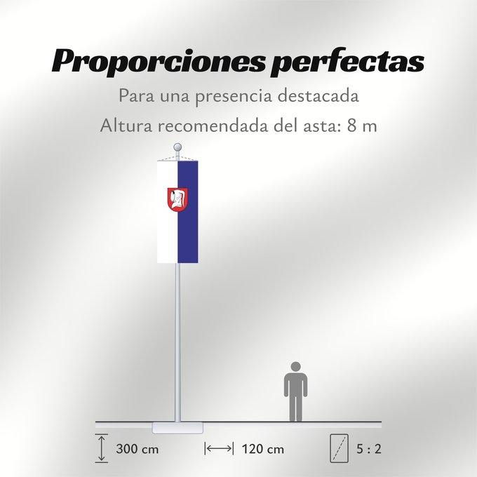 Proporciones de la bandera: Güglingen (Nördliches Baden-Württemberg)