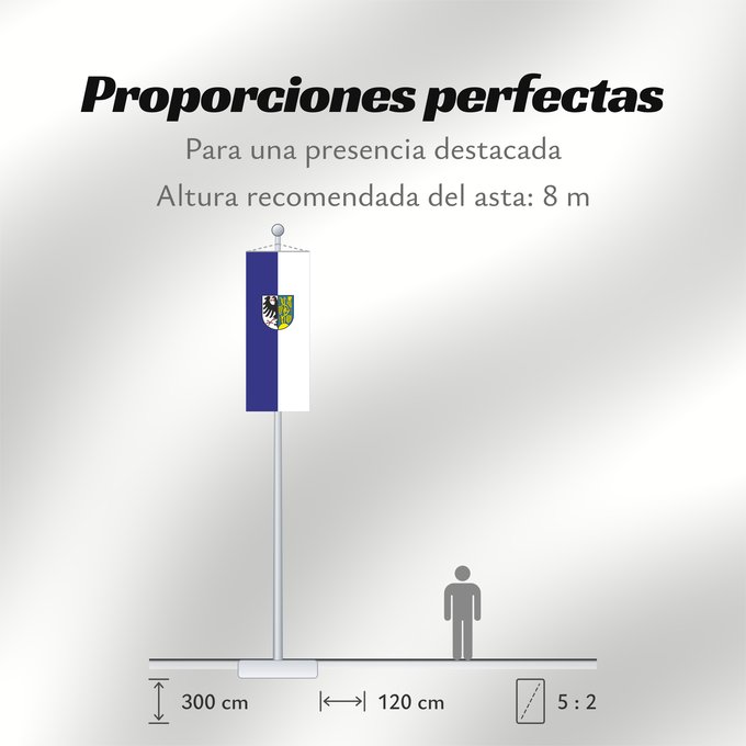 Proporciones de la bandera: Weinsberg (Nördliches Baden-Württemberg)