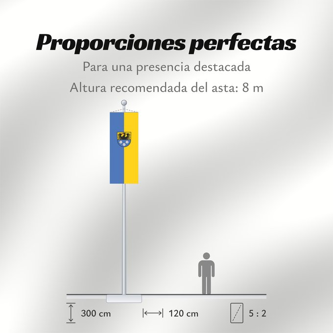 Proporciones de la bandera: Wertheim (Nördliches Baden-Württemberg)