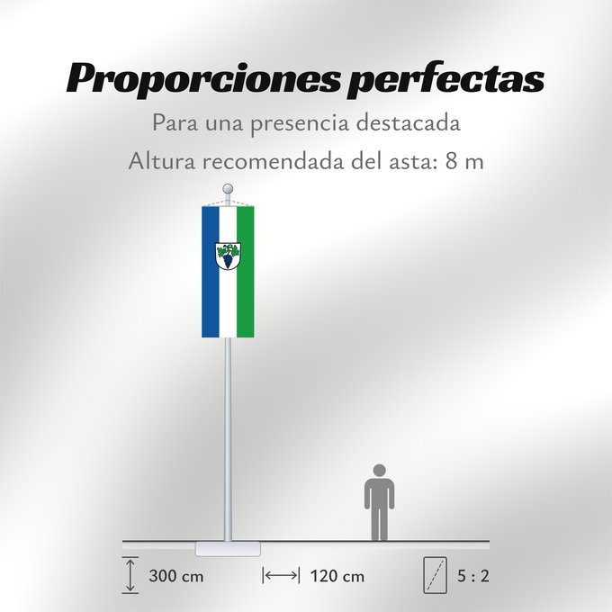 Proporciones de la bandera: Weingarten (Baden) (Nördliches Baden-Württemberg)